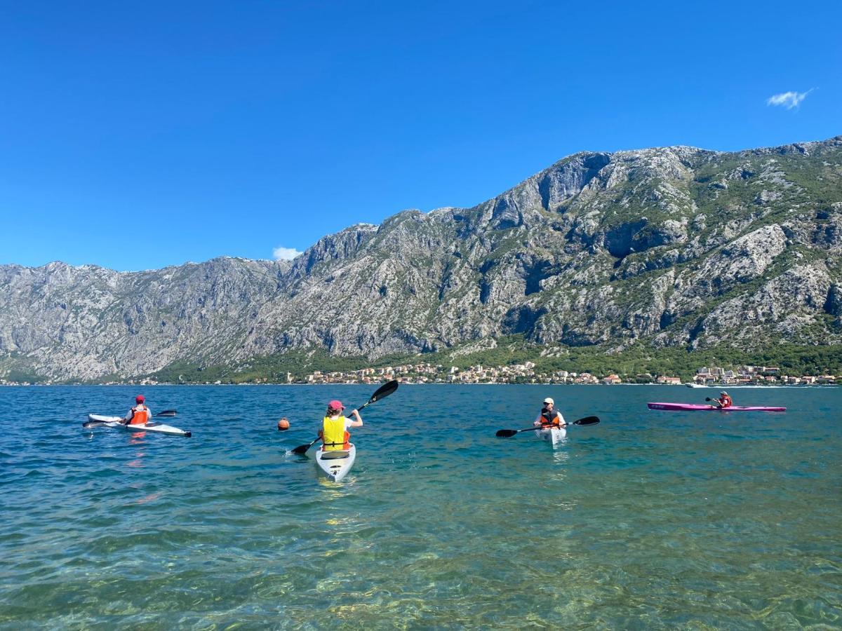 Magnolia Apartment Kotor Eksteriør billede