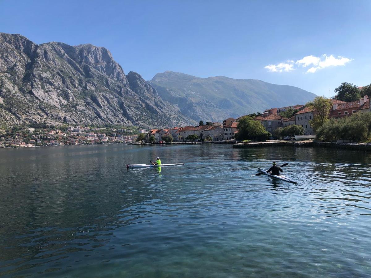 Magnolia Apartment Kotor Eksteriør billede